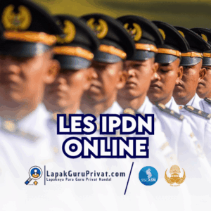 Les IPDN Online
